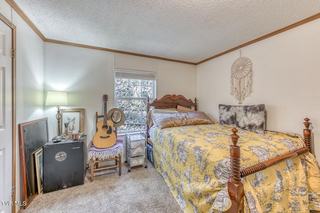 1424 Reedy Creek Road, Bristol, TN 37620