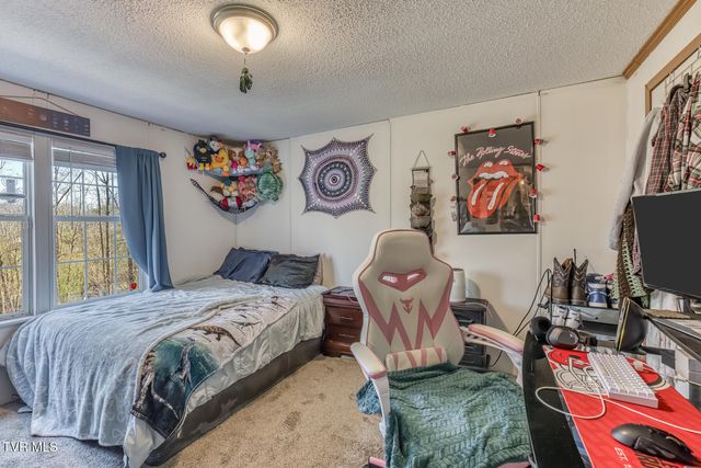 1424 Reedy Creek Road, Bristol, TN 37620