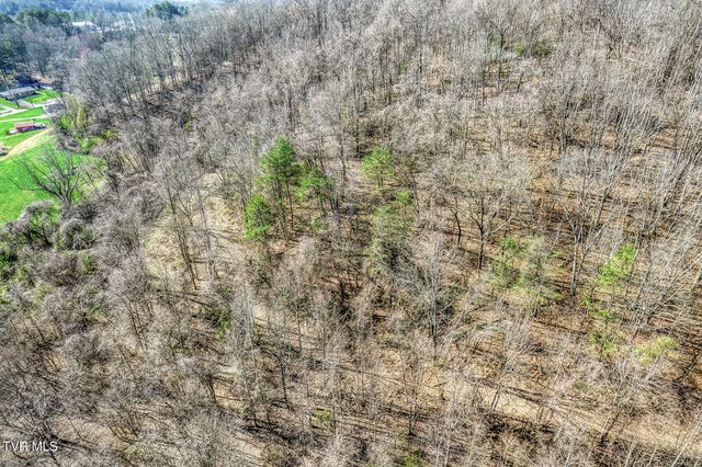1424 Reedy Creek Road, Bristol, TN 37620