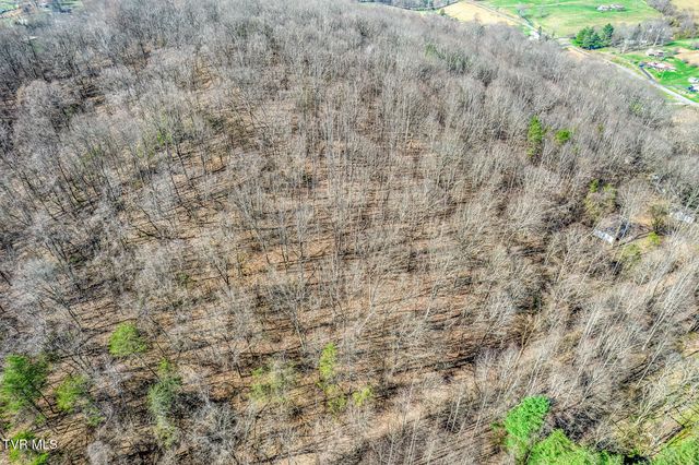 1424 Reedy Creek Road, Bristol, TN 37620