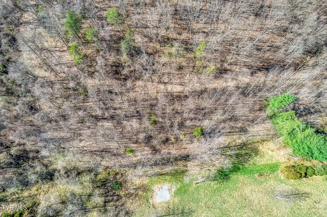 1424 Reedy Creek Road, Bristol, TN 37620