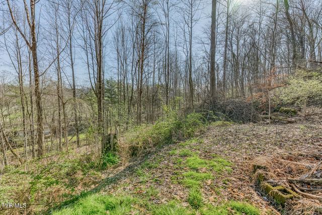 1424 Reedy Creek Road, Bristol, TN 37620