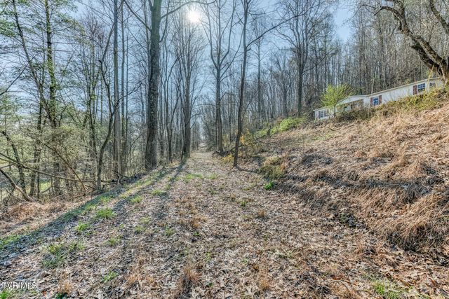 1424 Reedy Creek Road, Bristol, TN 37620