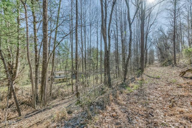 1424 Reedy Creek Road, Bristol, TN 37620