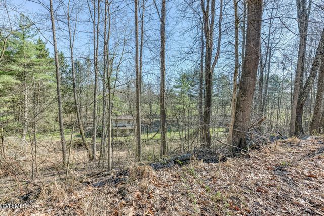 1424 Reedy Creek Road, Bristol, TN 37620