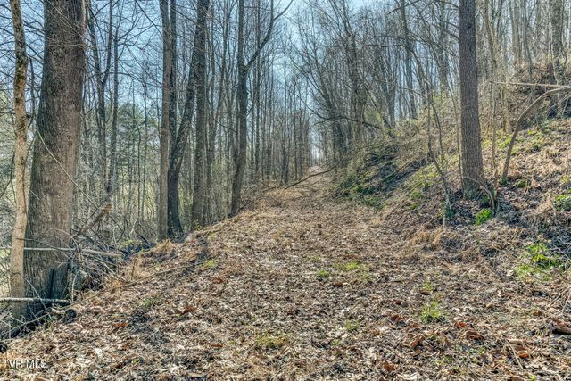 1424 Reedy Creek Road, Bristol, TN 37620