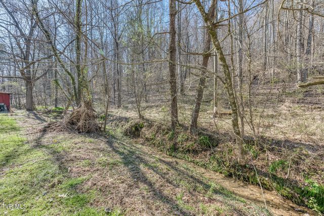 1424 Reedy Creek Road, Bristol, TN 37620