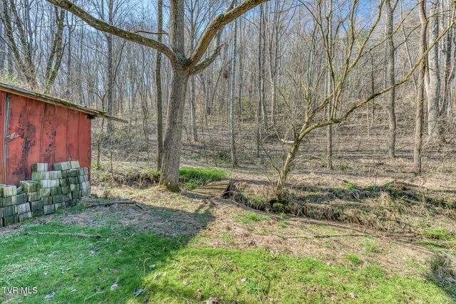 1424 Reedy Creek Road, Bristol, TN 37620