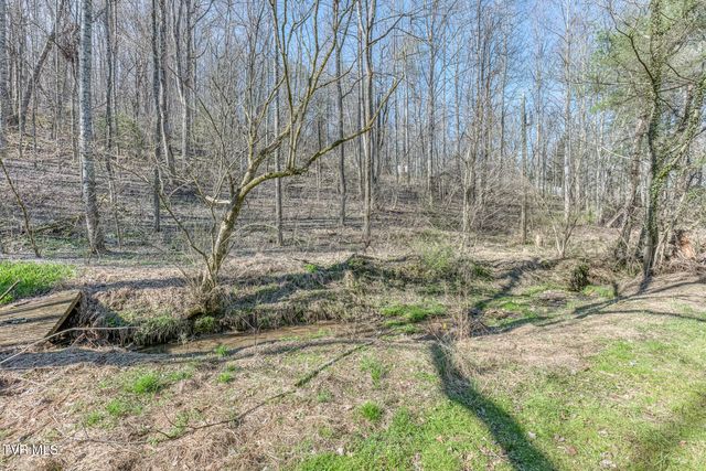 1424 Reedy Creek Road, Bristol, TN 37620