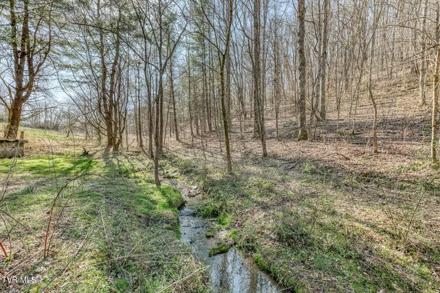 1424 Reedy Creek Road, Bristol, TN 37620