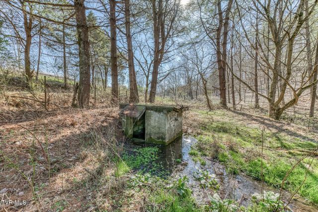 1424 Reedy Creek Road, Bristol, TN 37620