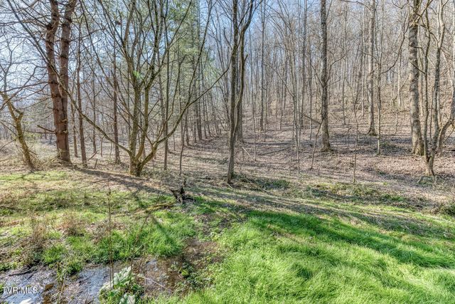 1424 Reedy Creek Road, Bristol, TN 37620