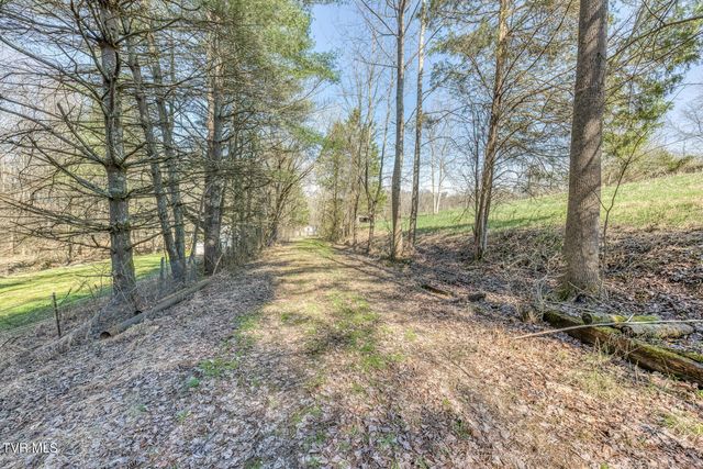 1424 Reedy Creek Road, Bristol, TN 37620