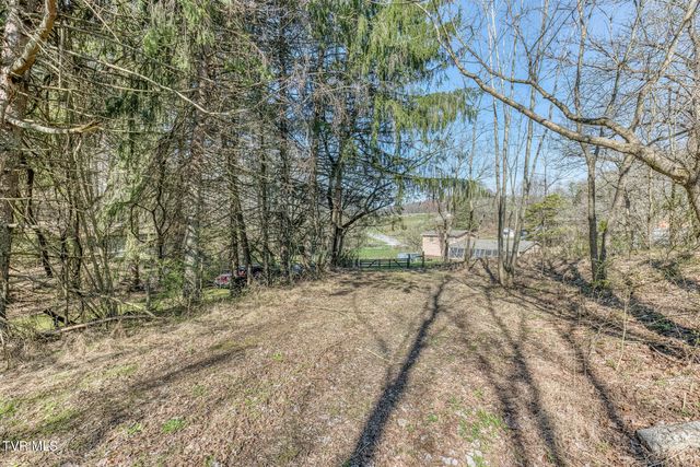 1424 Reedy Creek Road, Bristol, TN 37620