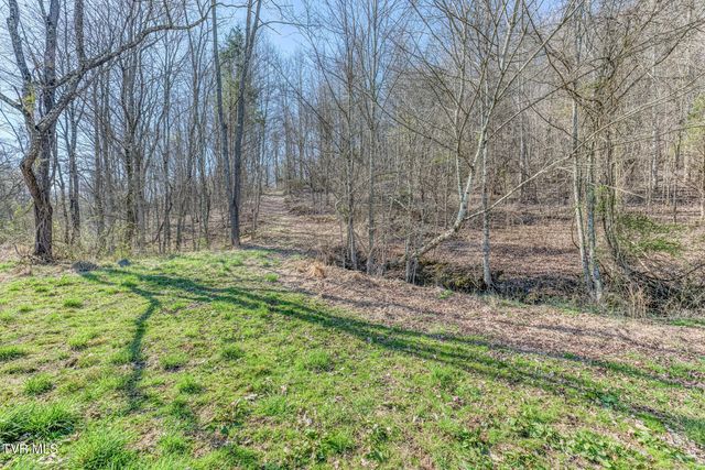 1424 Reedy Creek Road, Bristol, TN 37620