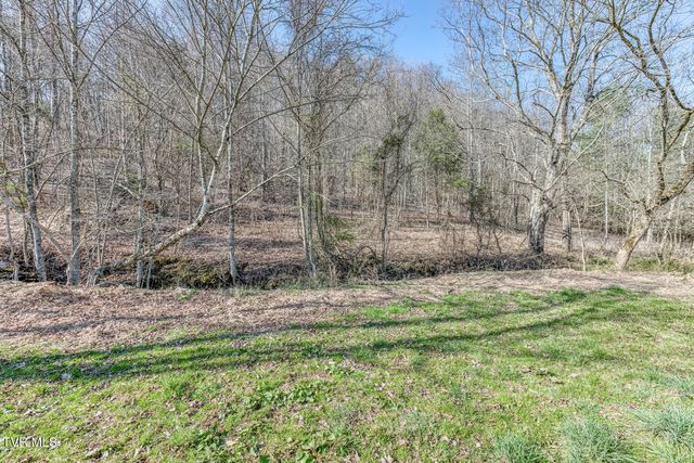 1424 Reedy Creek Road, Bristol, TN 37620