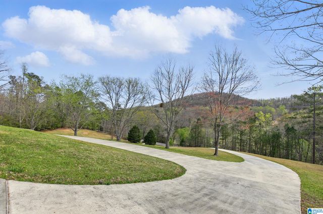 2840 VILLAGE SPRINGS ROAD, Springville, AL 35146