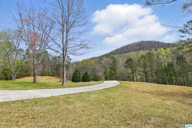 2840 VILLAGE SPRINGS ROAD, Springville, AL 35146