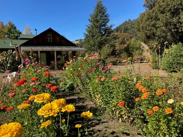 650 Old Hindley Ranch Road, Honeydew, CA 95545