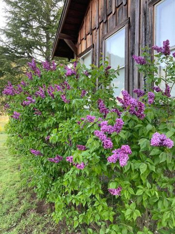 650 Old Hindley Ranch Road, Honeydew, CA 95545