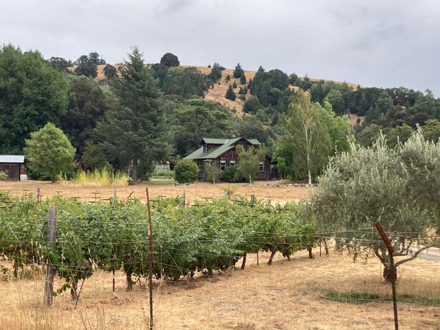 650 Old Hindley Ranch Road, Honeydew, CA 95545