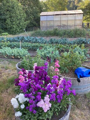 650 Old Hindley Ranch Road, Honeydew, CA 95545