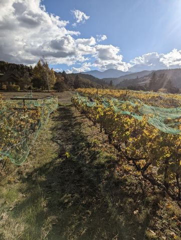 650 Old Hindley Ranch Road, Honeydew, CA 95545