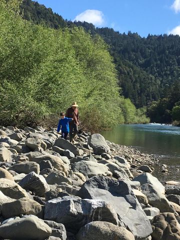 650 Old Hindley Ranch Road, Honeydew, CA 95545