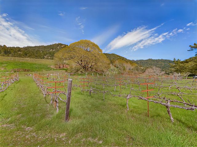 650 Old Hindley Ranch Road, Honeydew, CA 95545
