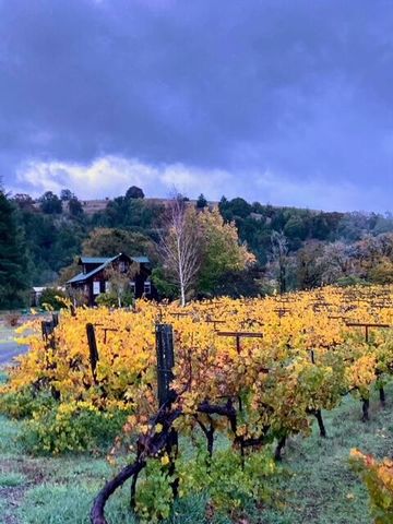 650 Old Hindley Ranch Road, Honeydew, CA 95545