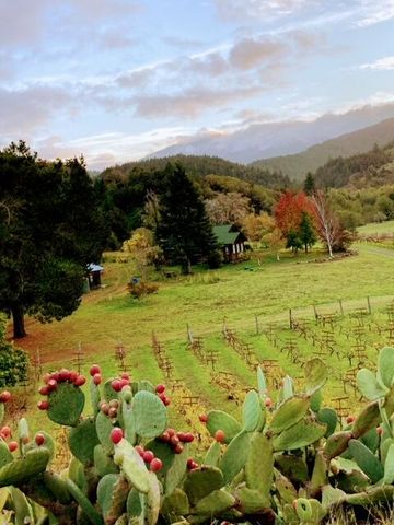 650 Old Hindley Ranch Road, Honeydew, CA 95545