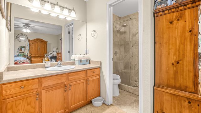 256 Sargent Circle, Fruita, CO 81521