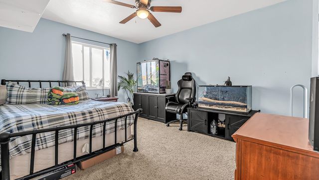 256 Sargent Circle, Fruita, CO 81521