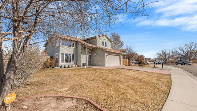 256 Sargent Circle, Fruita, CO 81521