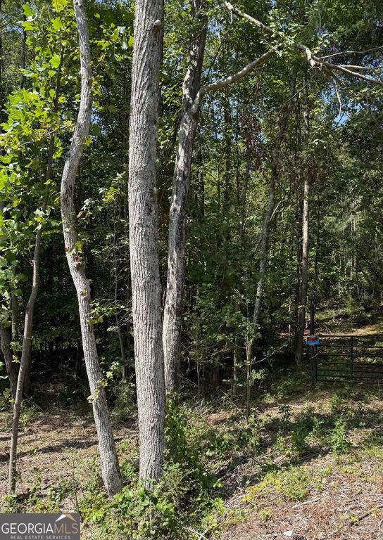 0 Highway 92 & 166, Douglasville, GA 30135 — photo 2