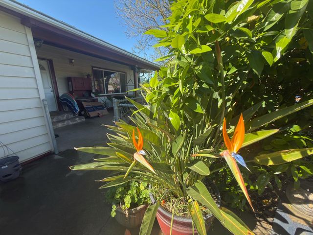 2191 Archer Ave, Live Oak, CA 95953