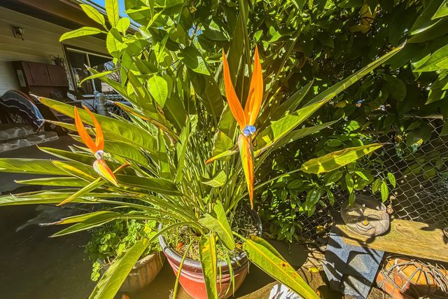 2191 Archer Ave, Live Oak, CA 95953