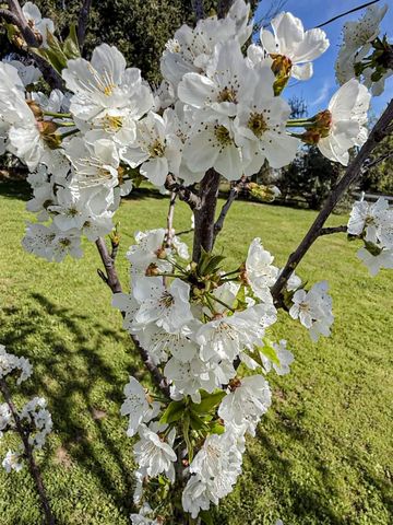 2191 Archer Ave, Live Oak, CA 95953