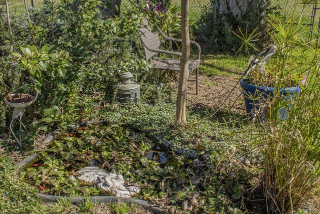 2191 Archer Ave, Live Oak, CA 95953