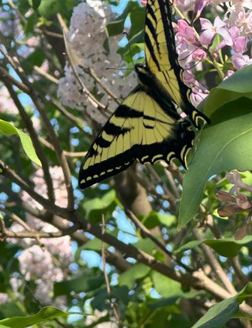 2191 Archer Ave, Live Oak, CA 95953