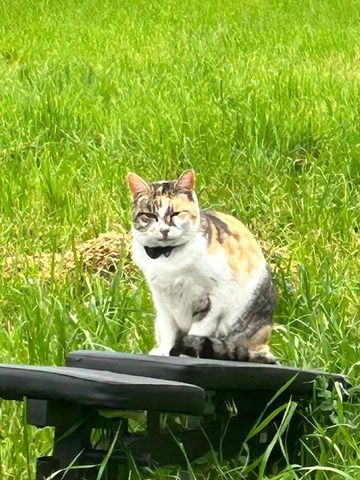 2191 Archer Ave, Live Oak, CA 95953