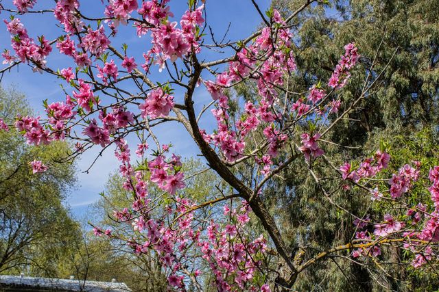 2191 Archer Ave, Live Oak, CA 95953