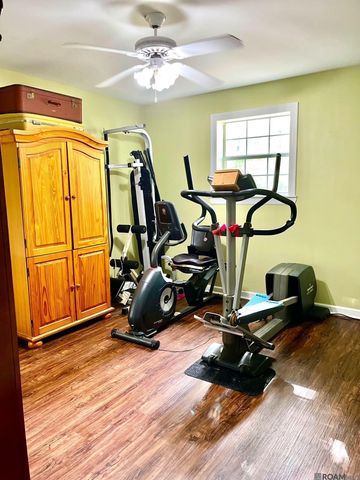 17539 Morales Ln, Livingston, LA 70754