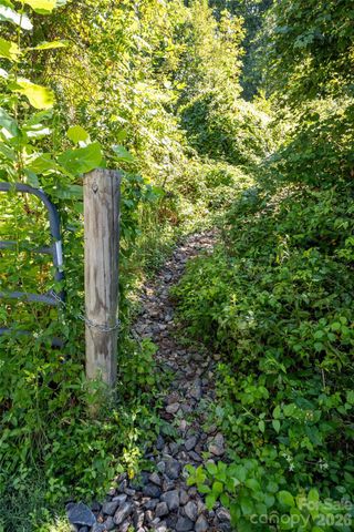 5 Sunwashed Way, Asheville, NC 28803