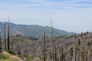 53184 Pine View Drive, Springville, CA 93265