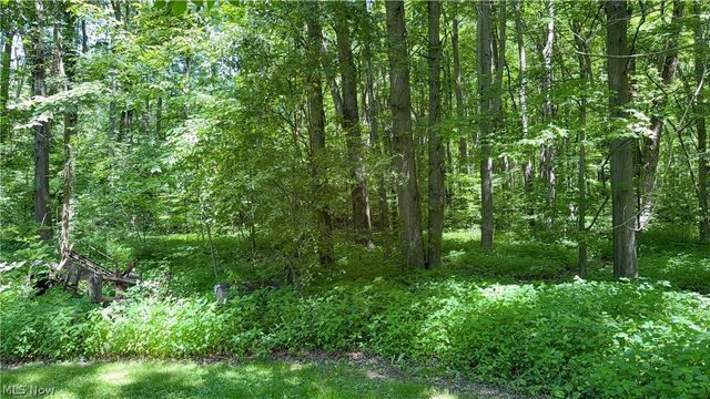 9621 Wolfe Road, Windham, OH 44288