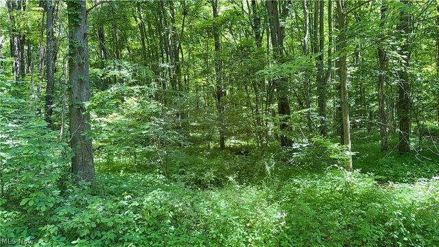 9621 Wolfe Road, Windham, OH 44288