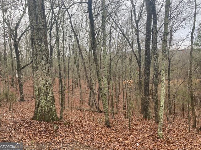 0 John Ingram Road, Silver Creek, GA 30173