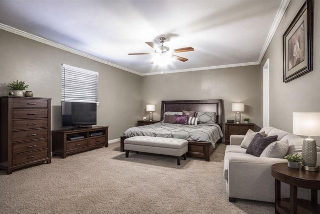 584 Elm Street, Prairie View, TX 77484