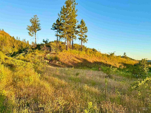 TBD Lot #3 Beaverslide Rd, Kamiah, ID 83536